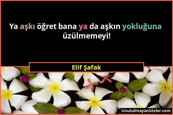 Elif Şafak - Ya aşkı öğret bana ya da aşkın yokluğuna üzülmemeyi!...