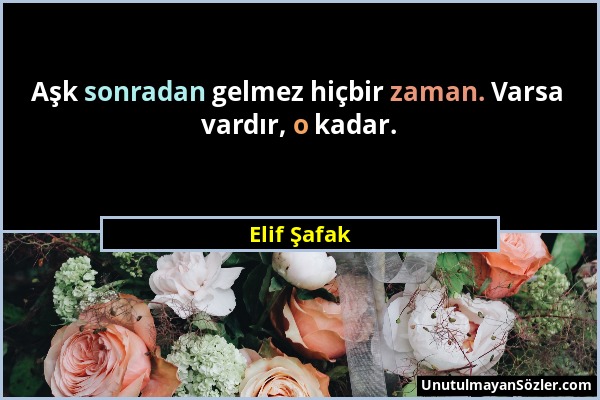 Elif Şafak - Aşk sonradan gelmez hiçbir zaman. Varsa vardır, o kadar....