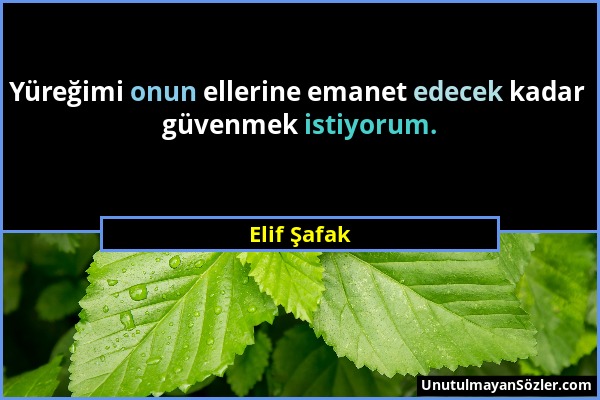 Elif Şafak - Yüreğimi onun ellerine emanet edecek kadar güvenmek istiyorum....