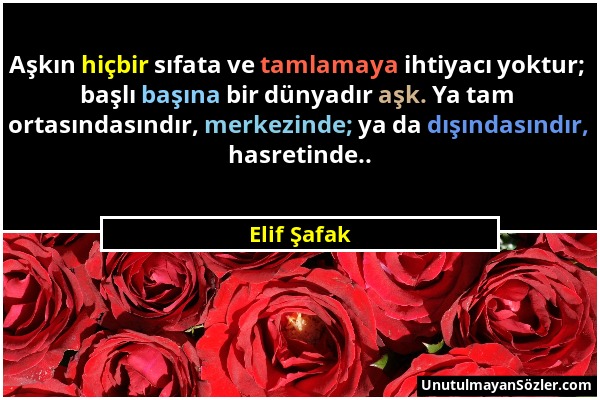 Elif Şafak - Aşkın hiçbir sıfata ve tamlamaya ihtiyacı yoktur; başlı başına bir dünyadır aşk. Ya tam ortasındasındır, merkezinde; ya da dışındasındır,...