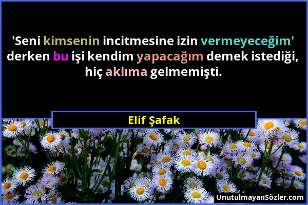 Elif Şafak - 'Seni kimsenin incitmesine izin vermeyeceğim' derken bu işi kendim yapacağım demek istediği, hiç aklıma gelmemişti....