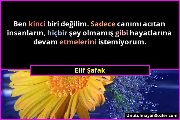 Elif Şafak - Ben kinci biri değilim. Sadece canımı acıtan insanların, hiçbir şey olmamış gibi hayatlarına devam etmelerini istemiyorum....