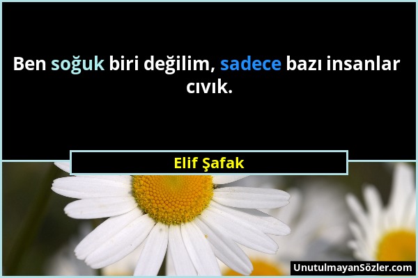 Elif Şafak - Ben soğuk biri değilim, sadece bazı insanlar cıvık....