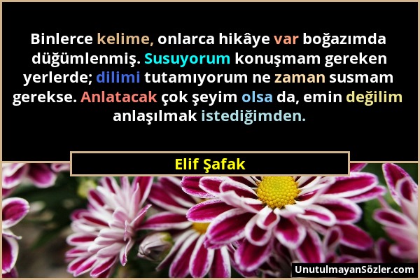 Elif Şafak - Binlerce kelime, onlarca hikâye var boğazımda düğümlenmiş. Susuyorum konuşmam gereken yerlerde; dilimi tutamıyorum ne zaman susmam gereks...