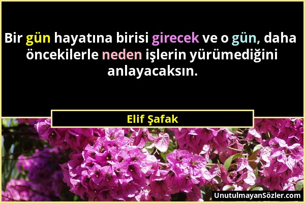 Elif Şafak - Bir gün hayatına birisi girecek ve o gün, daha öncekilerle neden işlerin yürümediğini anlayacaksın....