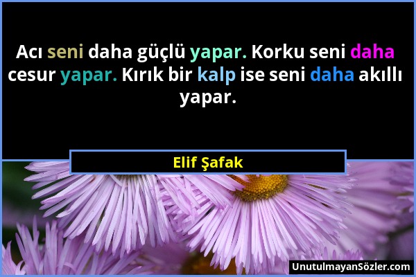 Elif Şafak - Acı seni daha güçlü yapar. Korku seni daha cesur yapar. Kırık bir kalp ise seni daha akıllı yapar....