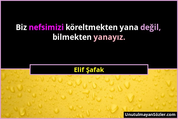 Elif Şafak - Biz nefsimizi köreltmekten yana değil, bilmekten yanayız....