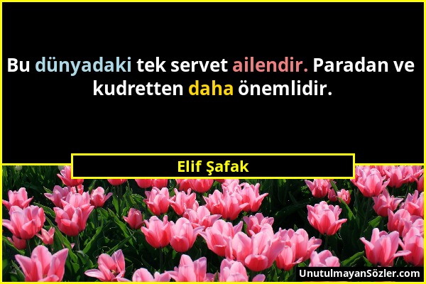 Elif Şafak - Bu dünyadaki tek servet ailendir. Paradan ve kudretten daha önemlidir....