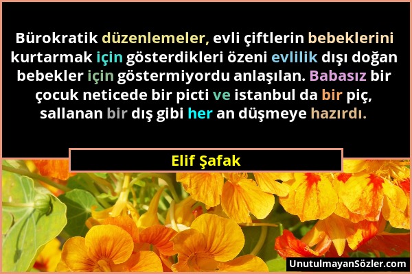 Elif Şafak - Bürokratik düzenlemeler, evli çiftlerin bebeklerini kurtarmak için gösterdikleri özeni evlilik dışı doğan bebekler için göstermiyordu anl...