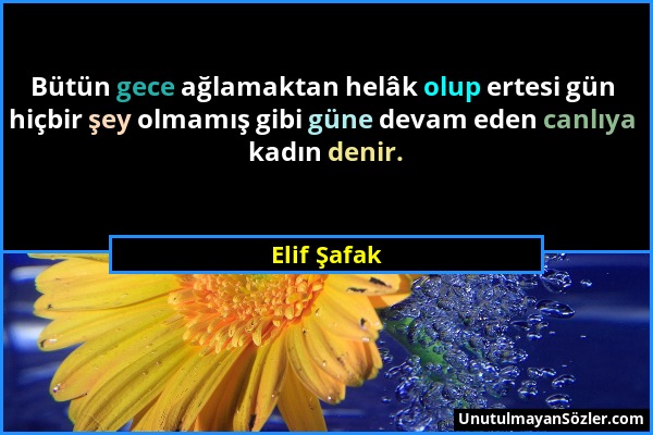 Elif Şafak - Bütün gece ağlamaktan helâk olup ertesi gün hiçbir şey olmamış gibi güne devam eden canlıya kadın denir....