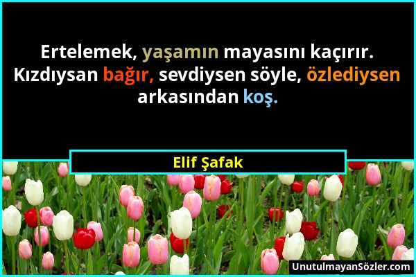 Elif Şafak - Ertelemek, yaşamın mayasını kaçırır. Kızdıysan bağır, sevdiysen söyle, özlediysen arkasından koş....