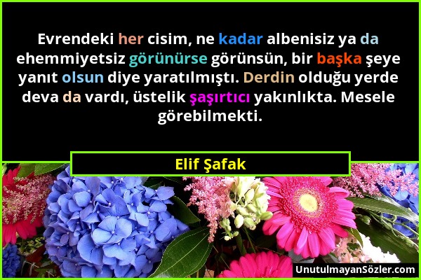 Elif Şafak - Evrendeki her cisim, ne kadar albenisiz ya da ehemmiyetsiz görünürse görünsün, bir başka şeye yanıt olsun diye yaratılmıştı. Derdin olduğ...