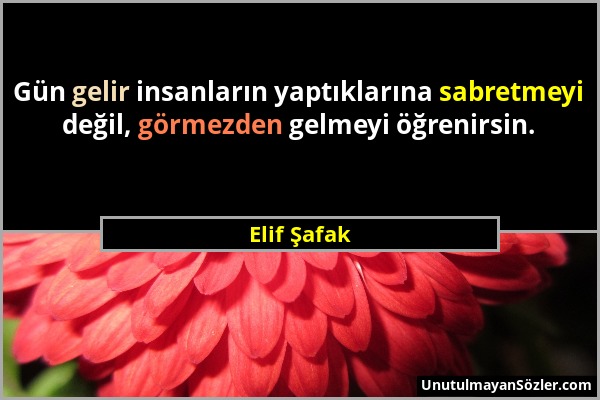 Elif Şafak - Gün gelir insanların yaptıklarına sabretmeyi değil, görmezden gelmeyi öğrenirsin....