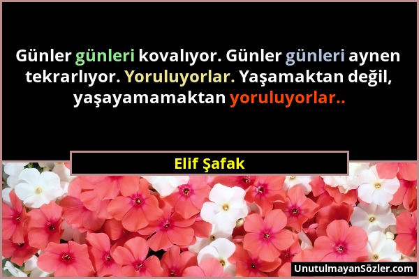 Elif Şafak - Günler günleri kovalıyor. Günler günleri aynen tekrarlıyor. Yoruluyorlar. Yaşamaktan değil, yaşayamamaktan yoruluyorlar.....