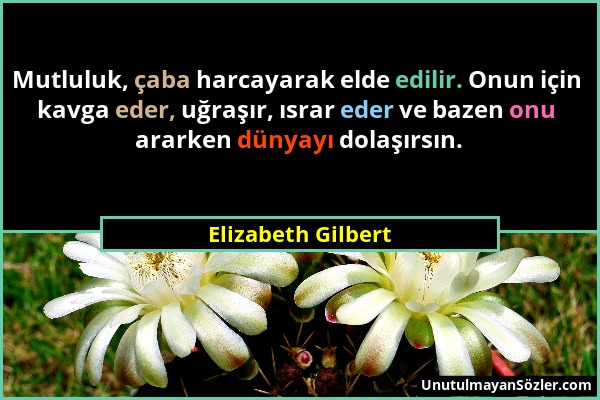 Elizabeth Gilbert - Mutluluk, çaba harcayarak elde edilir. Onun için kavga eder, uğraşır, ısrar eder ve bazen onu ararken dünyayı dolaşırsın....
