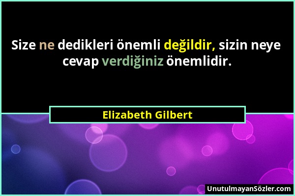 Elizabeth Gilbert - Size ne dedikleri önemli değildir, sizin neye cevap verdiğiniz önemlidir....