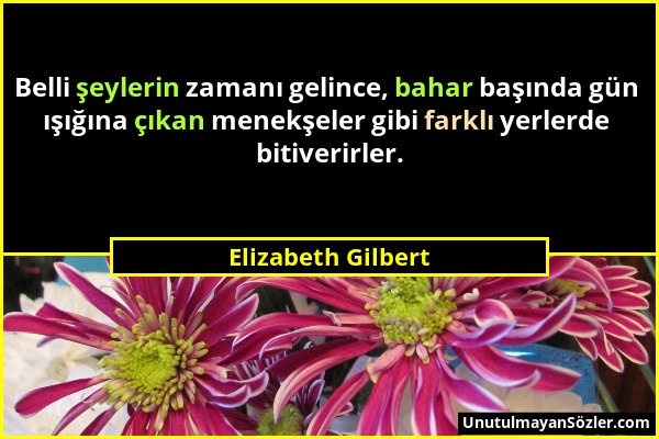 Elizabeth Gilbert - Belli şeylerin zamanı gelince, bahar başında gün ışığına çıkan menekşeler gibi farklı yerlerde bitiverirler....