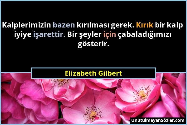 Elizabeth Gilbert - Kalplerimizin bazen kırılması gerek. Kırık bir kalp iyiye işarettir. Bir şeyler için çabaladığımızı gösterir....