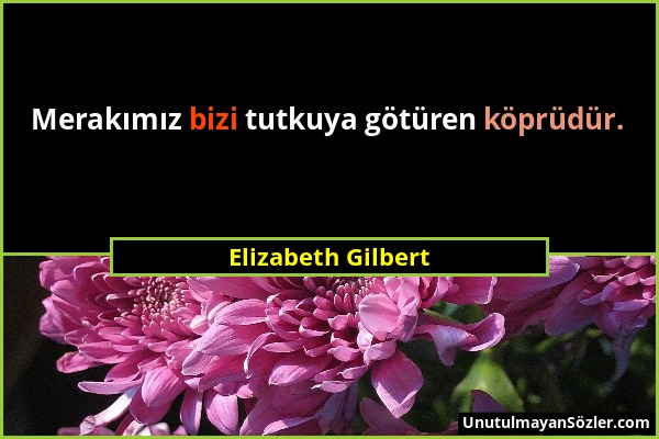Elizabeth Gilbert - Merakımız bizi tutkuya götüren köprüdür....