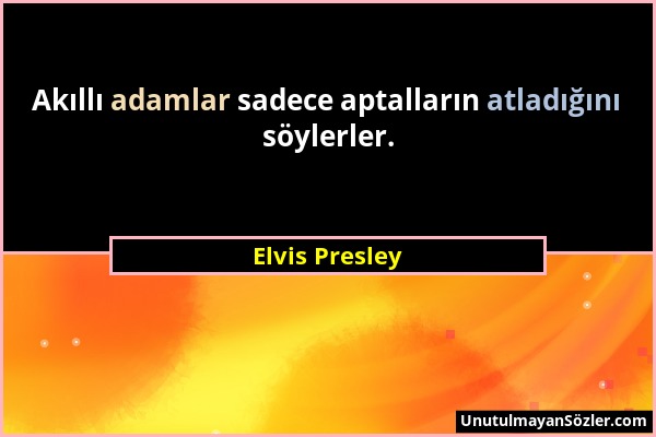 Elvis Presley - Akıllı adamlar sadece aptalların atladığını söylerler....