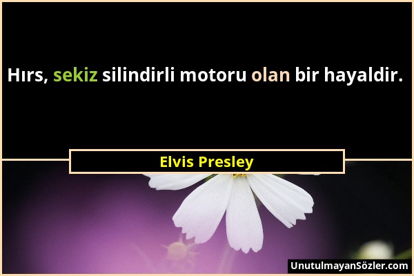 Elvis Presley - Hırs, sekiz silindirli motoru olan bir hayaldir....