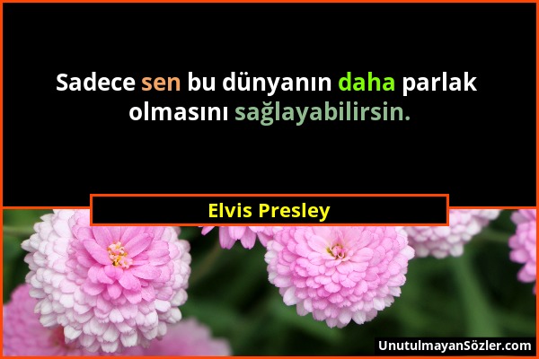 Elvis Presley - Sadece sen bu dünyanın daha parlak olmasını sağlayabilirsin....