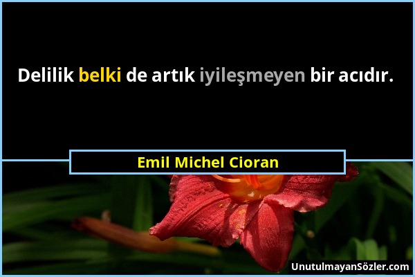 Emil Michel Cioran - Delilik belki de artık iyileşmeyen bir acıdır....