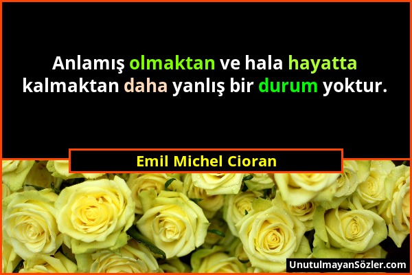 Emil Michel Cioran - Anlamış olmaktan ve hala hayatta kalmaktan daha yanlış bir durum yoktur....