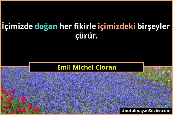 Emil Michel Cioran - İçimizde doğan her fikirle içimizdeki birşeyler çürür....