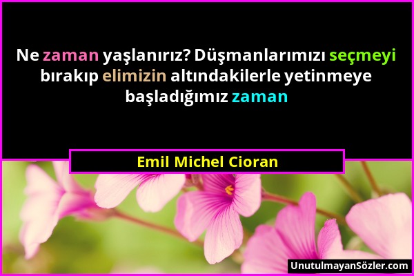 Emil Michel Cioran - Ne zaman yaşlanırız? Düşmanlarımızı seçmeyi bırakıp elimizin altındakilerle yetinmeye başladığımız zaman...