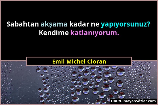 Emil Michel Cioran - Sabahtan akşama kadar ne yapıyorsunuz? Kendime katlanıyorum....