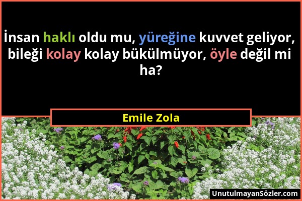 Emile Zola - İnsan haklı oldu mu, yüreğine kuvvet geliyor, bileği kolay kolay bükülmüyor, öyle değil mi ha?...