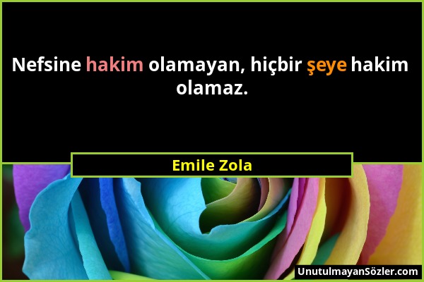 Emile Zola - Nefsine hakim olamayan, hiçbir şeye hakim olamaz....