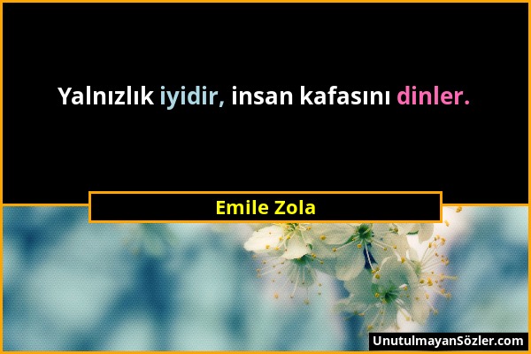 Emile Zola - Yalnızlık iyidir, insan kafasını dinler....
