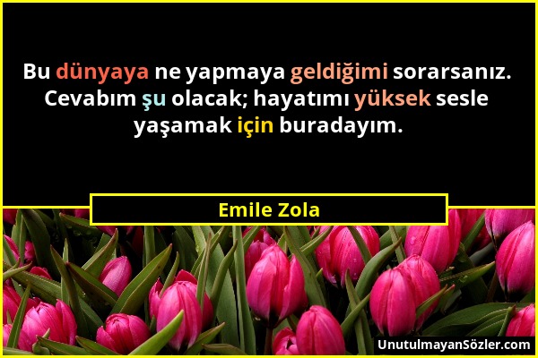 Emile Zola - Bu dünyaya ne yapmaya geldiğimi sorarsanız. Cevabım şu olacak; hayatımı yüksek sesle yaşamak için buradayım....