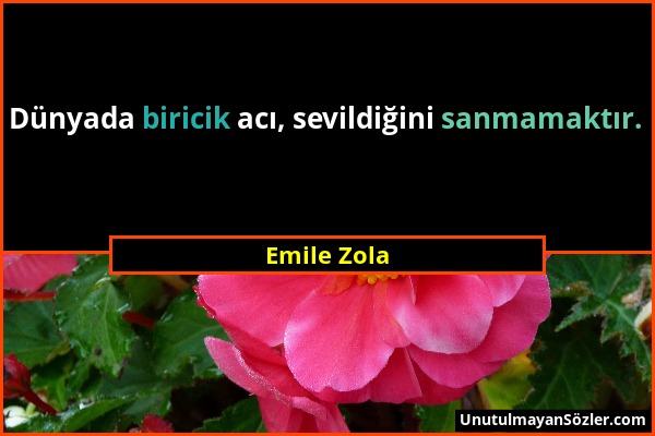 Emile Zola - Dünyada biricik acı, sevildiğini sanmamaktır....