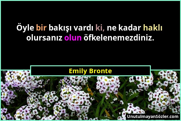 Emily Bronte - Öyle bir bakışı vardı ki, ne kadar haklı olursanız olun öfkelenemezdiniz....