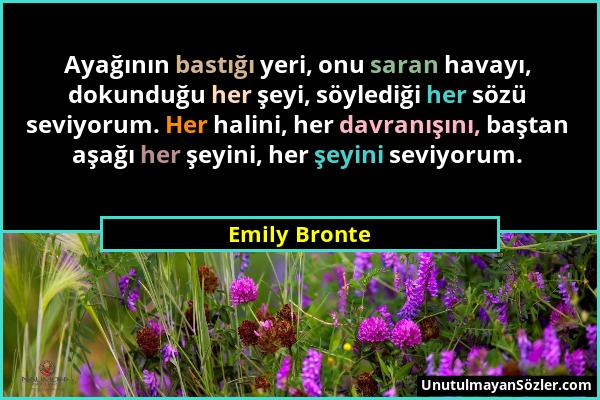 Emily Bronte - Ayağının bastığı yeri, onu saran havayı, dokunduğu her şeyi, söylediği her sözü seviyorum. Her halini, her davranışını, baştan aşağı he...