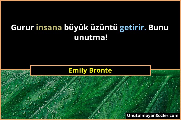 Emily Bronte - Gurur insana büyük üzüntü getirir. Bunu unutma!...