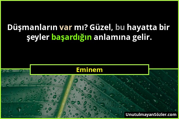 Eminem - Düşmanların var mı? Güzel, bu hayatta bir şeyler başardığın anlamına gelir....