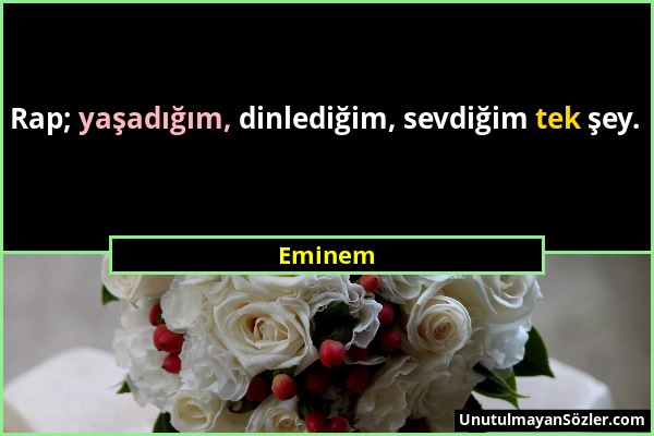 Eminem - Rap; yaşadığım, dinlediğim, sevdiğim tek şey....