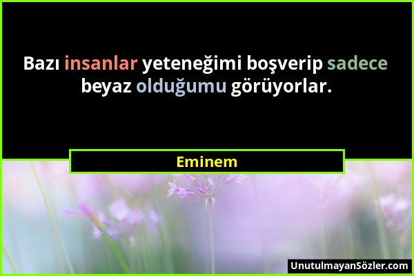 Eminem - Bazı insanlar yeteneğimi boşverip sadece beyaz olduğumu görüyorlar....