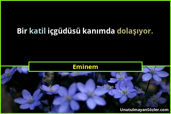 Eminem - Bir katil içgüdüsü kanımda dolaşıyor....