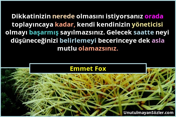 Emmet Fox - Dikkatinizin nerede olmasını istiyorsanız orada toplayıncaya kadar, kendi kendinizin yöneticisi olmayı başarmış sayılmazsınız. Gelecek saa...