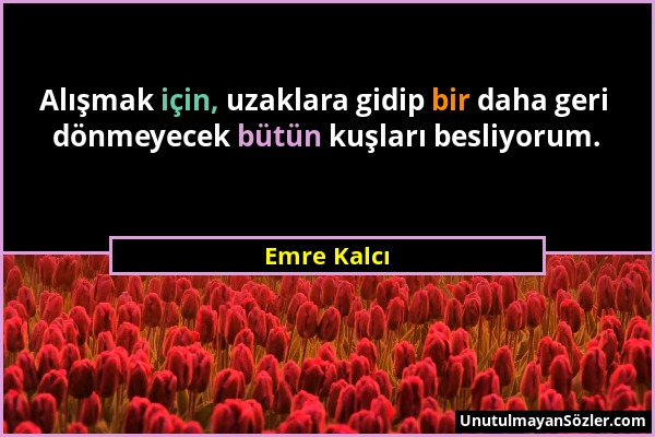 Emre Kalcı - Alışmak için, uzaklara gidip bir daha geri dönmeyecek bütün kuşları besliyorum....