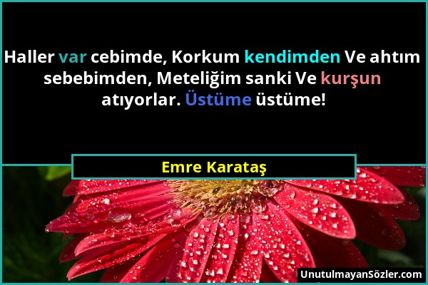 Emre Karataş - Haller var cebimde, Korkum kendimden Ve ahtım sebebimden, Meteliğim sanki Ve kurşun atıyorlar. Üstüme üstüme!...
