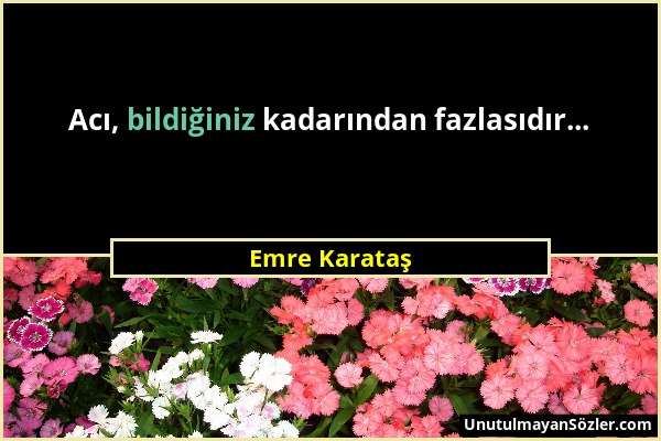 Emre Karataş - Acı, bildiğiniz kadarından fazlasıdır......