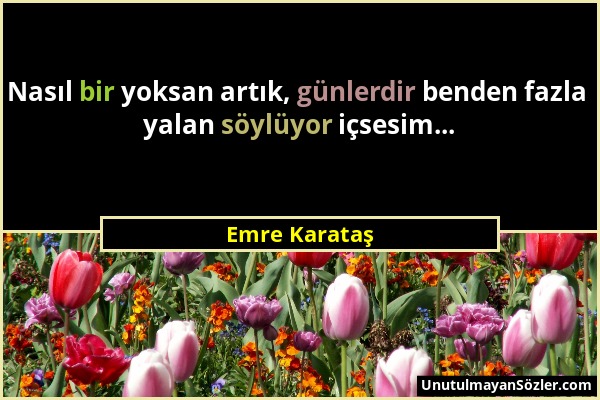 Emre Karataş - Nasıl bir yoksan artık, günlerdir benden fazla yalan söylüyor içsesim......