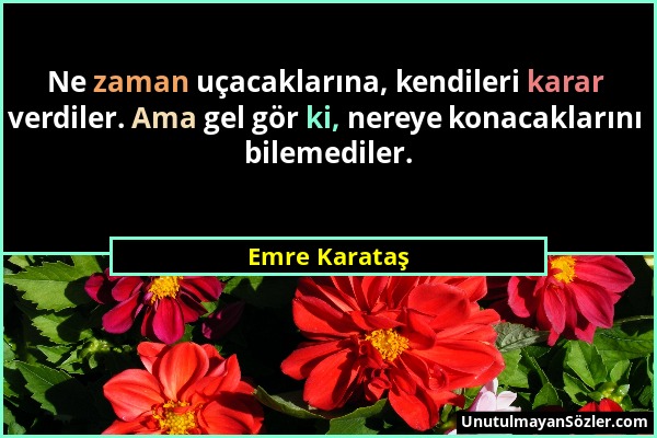 Emre Karataş - Ne zaman uçacaklarına, kendileri karar verdiler. Ama gel gör ki, nereye konacaklarını bilemediler....