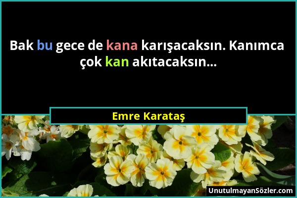 Emre Karataş - Bak bu gece de kana karışacaksın. Kanımca çok kan akıtacaksın......